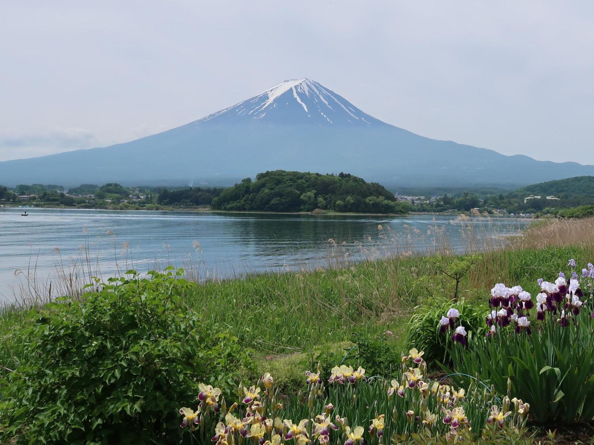 Kuranoyado Matsuya Villa Fujikawaguchiko Dış mekan fotoğraf