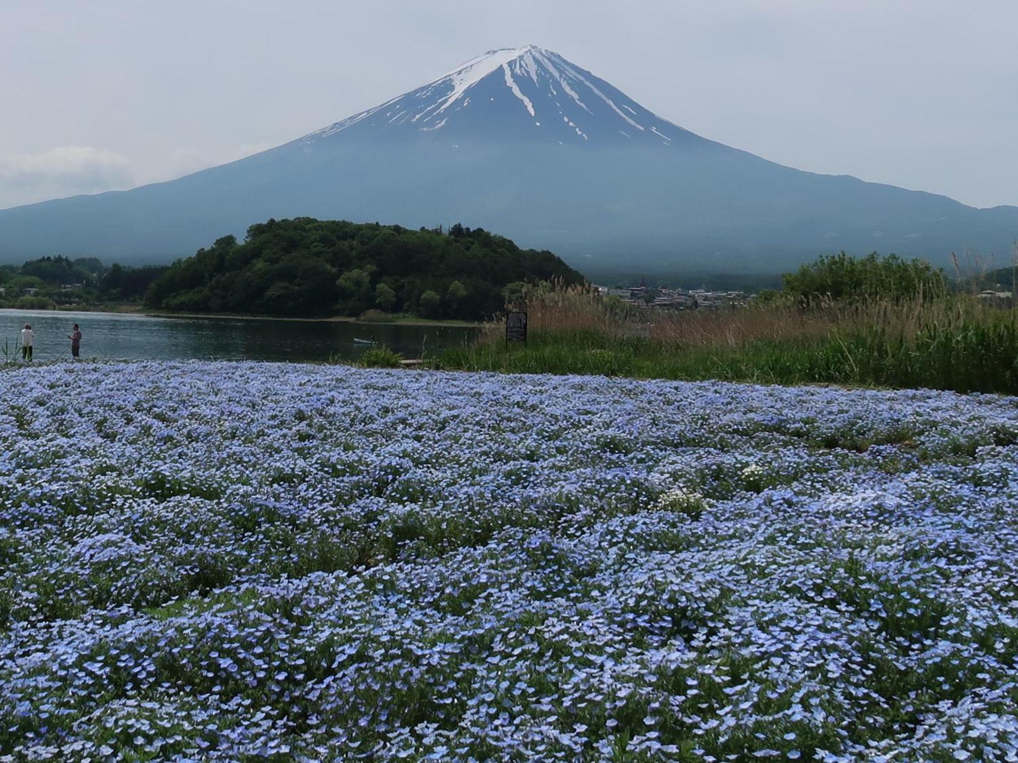Kuranoyado Matsuya Villa Fujikawaguchiko Dış mekan fotoğraf